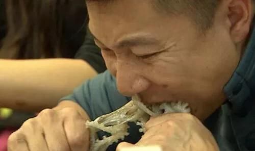 为什么韩国人喜欢吃活章鱼图2