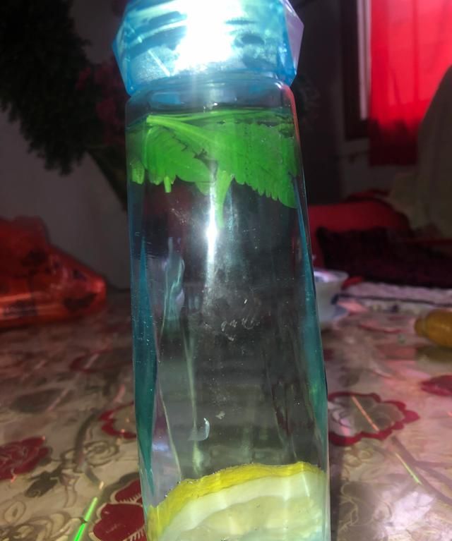 熏衣草为什么不是花草而是灌木?它有什么功效呢图11