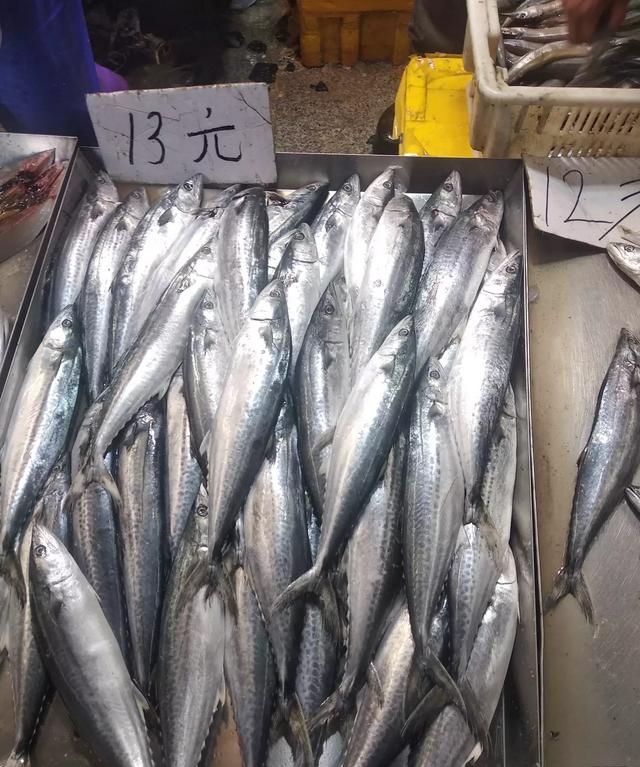 如何制作鱼丸,如何制作鱼丸鱼豆腐图8
