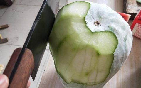 冬瓜炖肉的家常做法,冬瓜粉条海带炖肉的做法大全家常