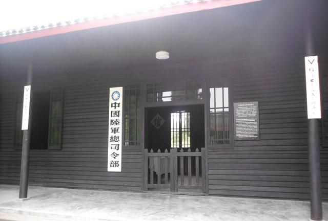大口径杉树有什么用途,大口径杉树苗价格图1