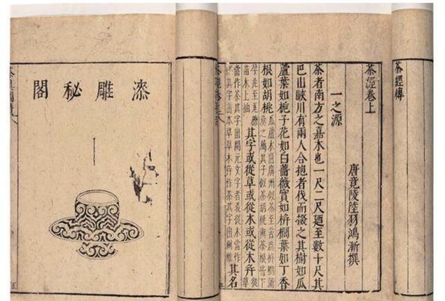 祁门红茶为什么这么好喝,象窝和祁门红茶哪个好喝图3
