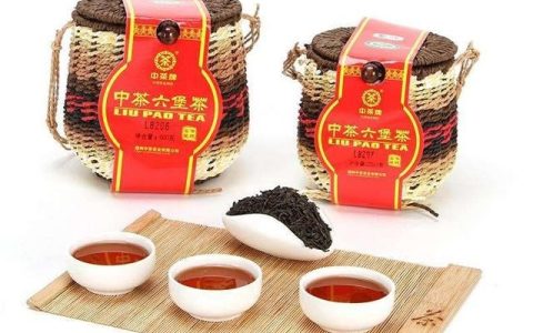 什么样的六堡茶好喝