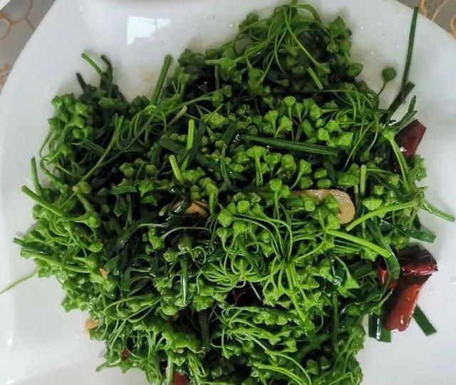 “吃在”红河县｜夏日炎炎，这些“苦”要你好吃