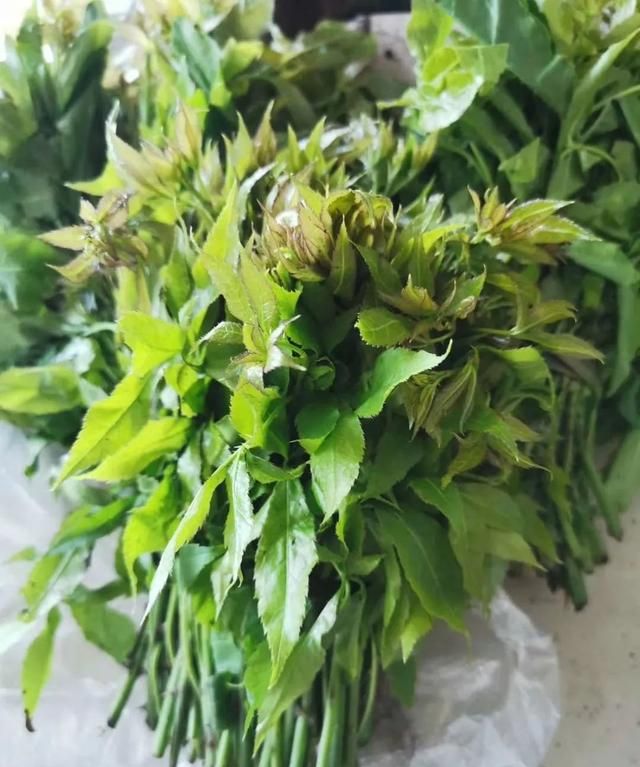 “吃在”红河县｜夏日炎炎，这些“苦”要你好吃
