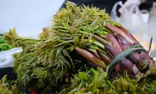 “吃在”红河县｜夏日炎炎，这些“苦”要你好吃