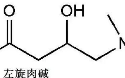 健身有必要吃左旋肉碱有副作用吗
