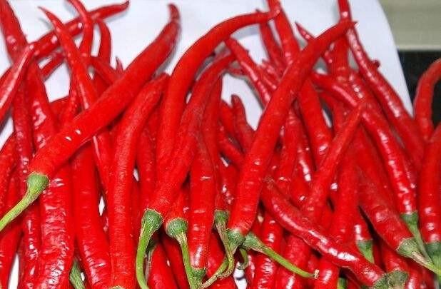 辣豆子怎么做(辣炒荷兰豆子)图3