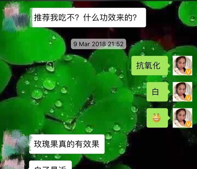 如何评价玫瑰果的好坏(玫瑰果的优缺点)图8