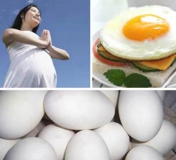 怀孕的人什么时候吃鹅蛋最好图5