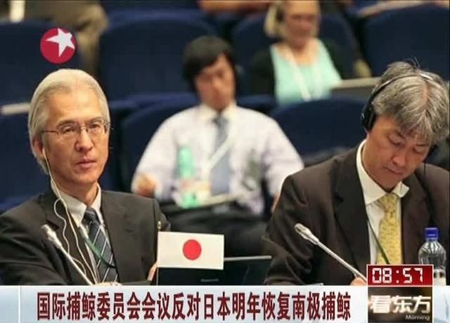 日本现在都开始卖鲸鱼肉了,你们怎么看的图3