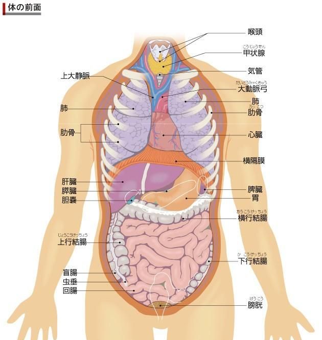 打麻醉前不能吃什么?否则麻醉不管用了图3