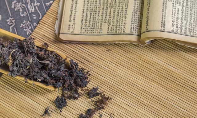 流行歌里的海藻，是中医对症的良药，消解乳腺、痛风肿块很有效