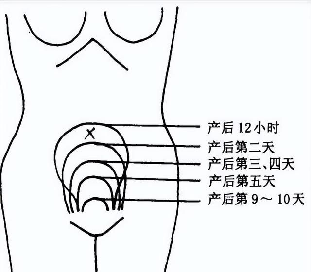 有什么孕期可以用，产后还能继续用的东西吗？