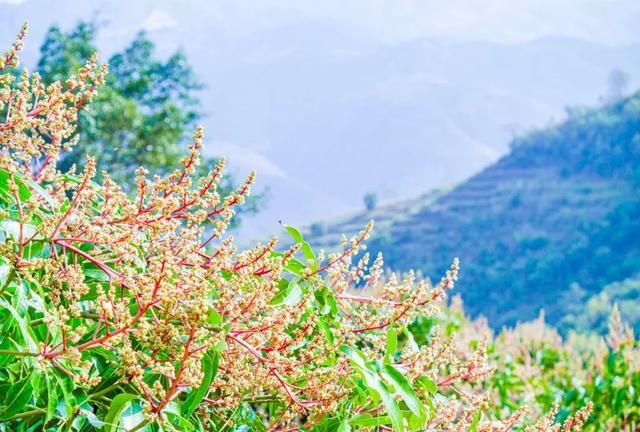 旧城的“花花世界”