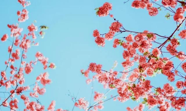 旧城的“花花世界”