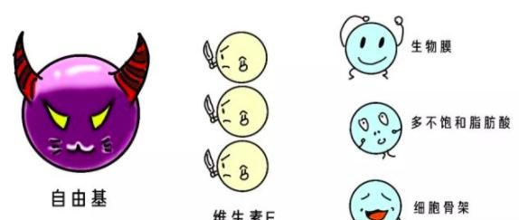 维生素e加面霜擦脸有什么好处图7