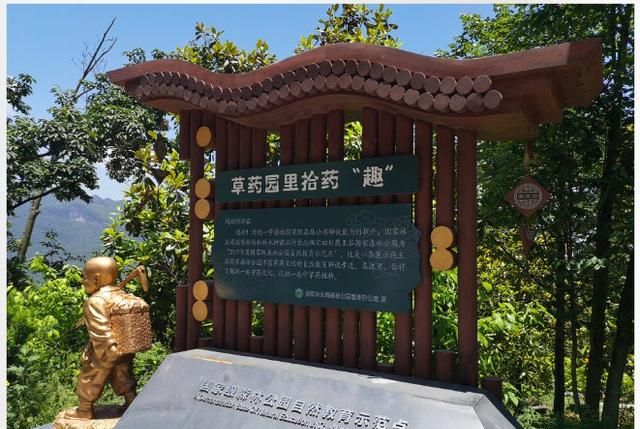 “川派”中医药文化如何传承？跟随记者镜头找答案、看成果