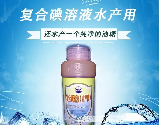 水产消毒就用水产聚维酮碘溶液与复合碘溶液——效果好、易使用