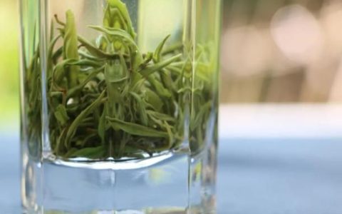 绿茶的三种冲泡方法哪种好喝一点