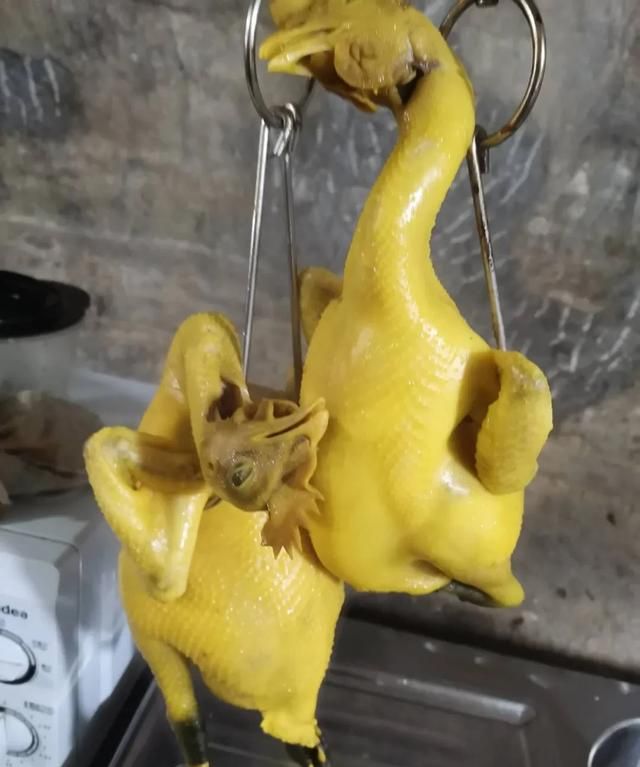 烧鸭怎么做(魔芋烧鸭怎么做)图15