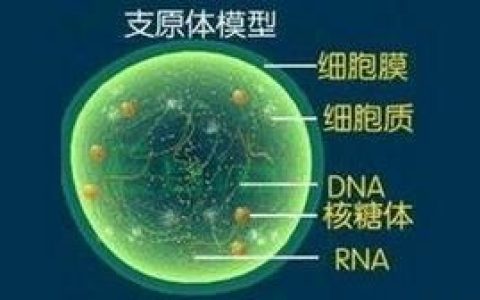 支原体只能用阿奇霉素治疗吗,支原体阿奇霉素单次1.0g吃几天