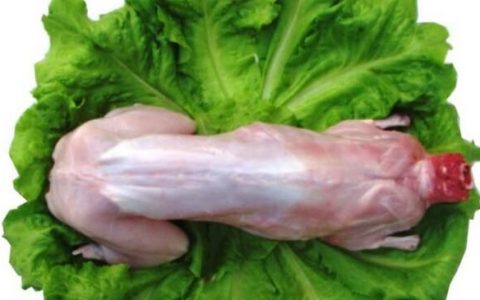 兔肉的功效与作用营养价值