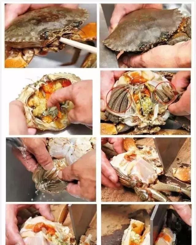 超详细的螃蟹清洗方法，邕鲜记的粉丝福利