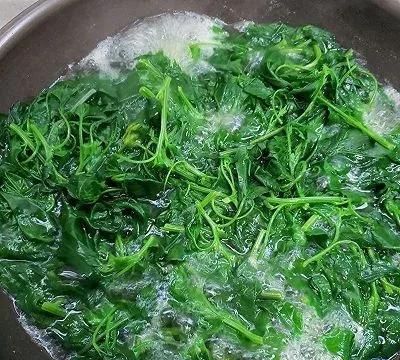 农村有一种野菜叫灰灰菜,你吃过吗图4