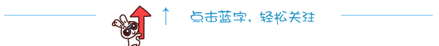 【平利绞股蓝】绞股蓝“果实与种子”