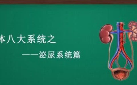 人体常见的泌尿系统疾病有哪些(泌尿系统常见疾病有哪些)