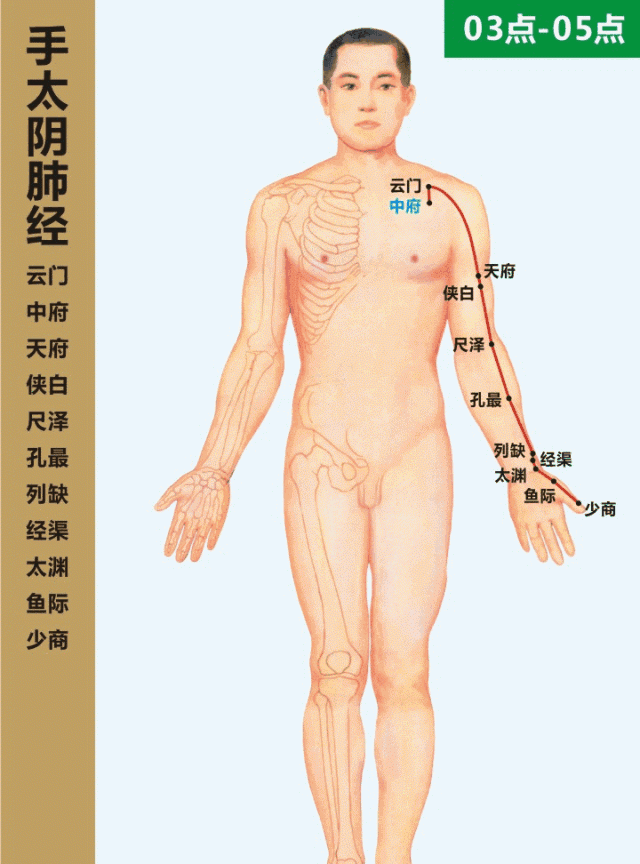 「经络养生」人体十二经络走向动画图，快来看看吧