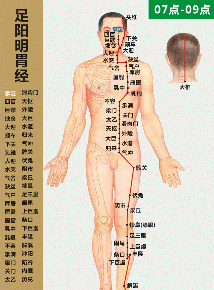 「经络养生」人体十二经络走向动画图，快来看看吧