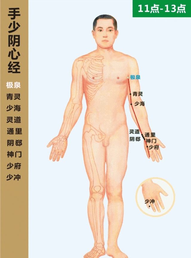 「经络养生」人体十二经络走向动画图，快来看看吧