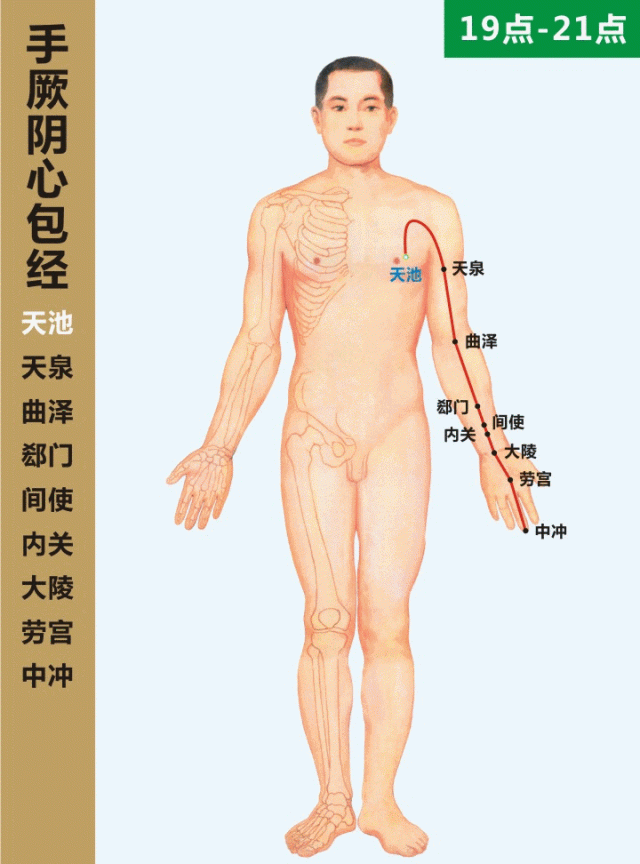 「经络养生」人体十二经络走向动画图，快来看看吧