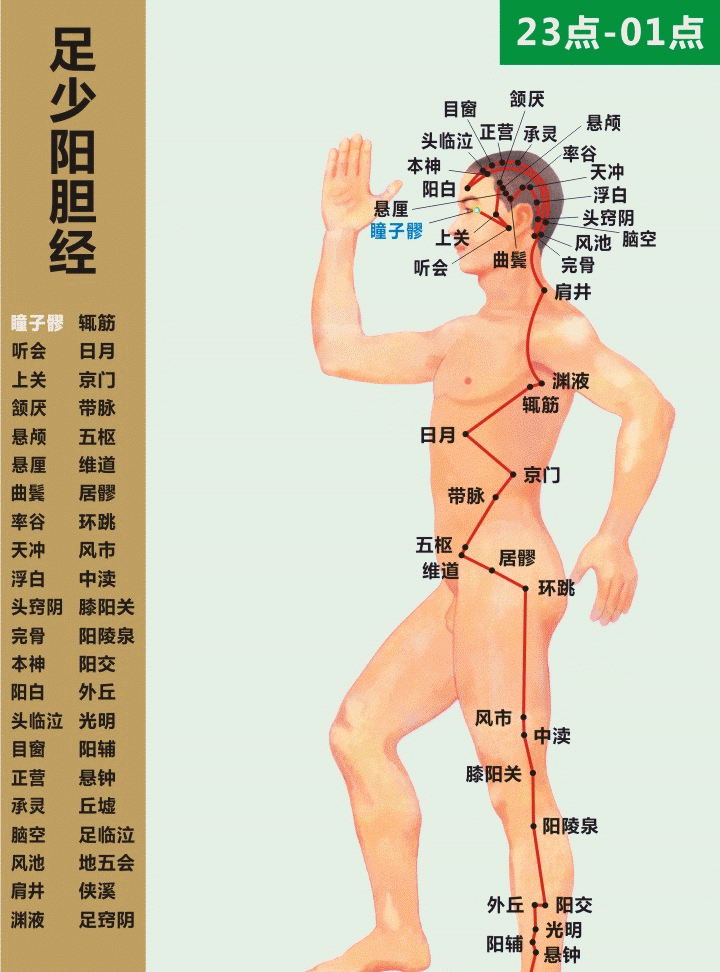 「经络养生」人体十二经络走向动画图，快来看看吧