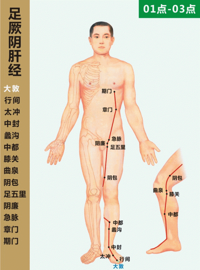 「经络养生」人体十二经络走向动画图，快来看看吧