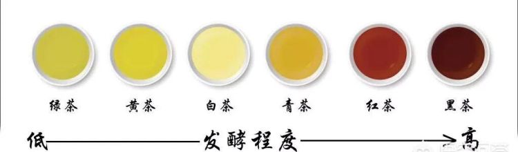 茶叶分为六大类,都有哪些呢?都有什么功效图1