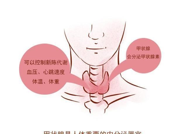 甲状腺疾病该如何治疗图1