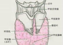 甲状腺疾病该如何治疗图2