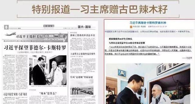 辣木籽的功效与 作用及吃法