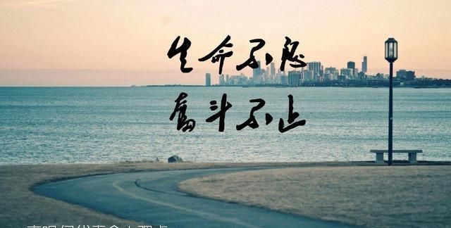 怎样才让蜜蜂做蜂黄浆呢图6