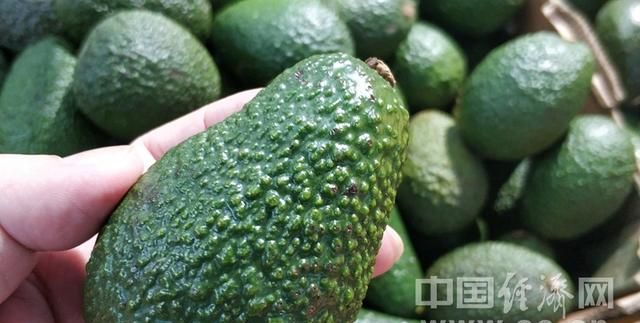 牛油果“颜值”不高、口感无味？这么多功效你想不到