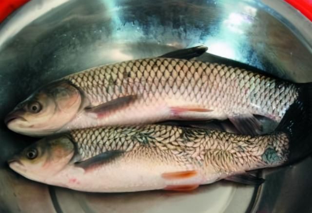 腌咸鱼时，别直接抹盐腌，多加1个步骤，咸鱼咸香入味，更易储存