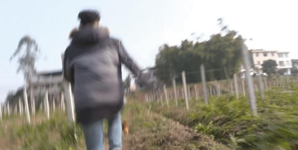 麻鸭、土鸡、黑山羊……说起广安的这几道“江湖菜”就直流口水