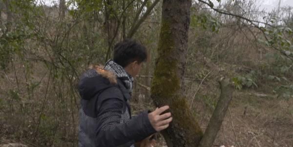麻鸭、土鸡、黑山羊……说起广安的这几道“江湖菜”就直流口水