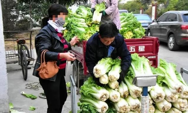 这些咸菜中的“顶流”，你都吃过吗？