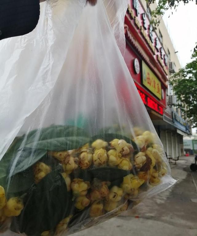 “茶族皇后”泡茶，英雄花煮粥，这些应季美食功效卓著