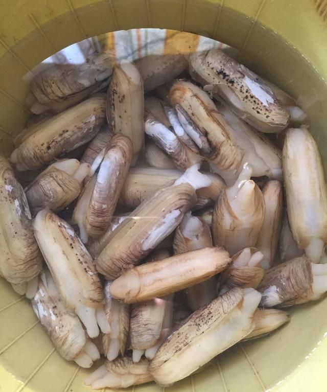 竹蛏怎么做好吃用不用去内脏图5