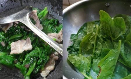 盘点木耳菜的功效与作用 有效的治疗便秘